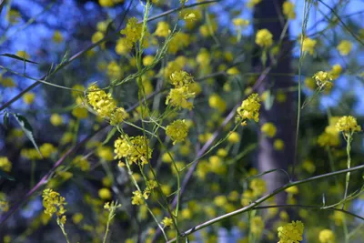 DSC_6100 (Large).JPG